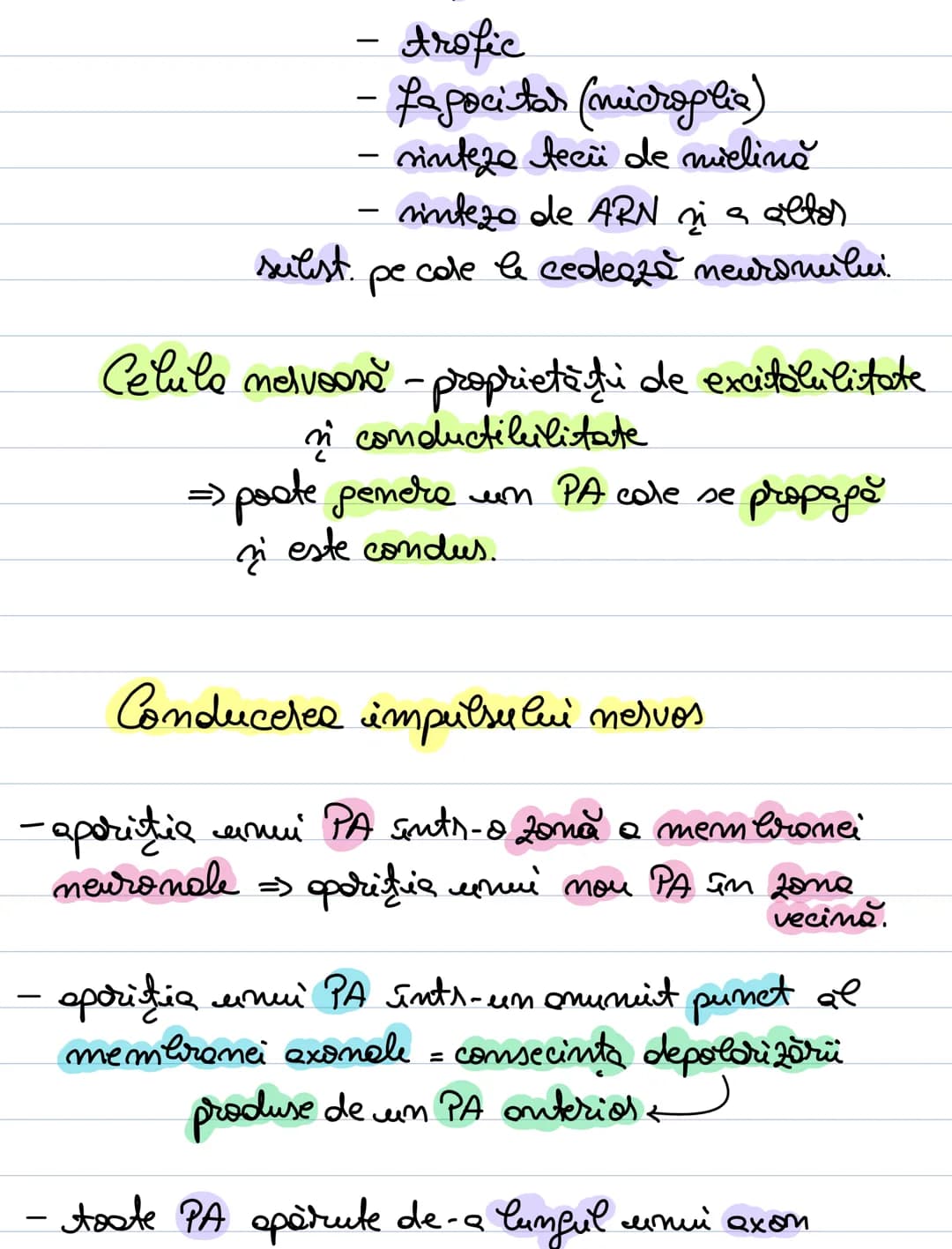 A. Neuronul
= unitate morfofuncţională a SN.
- forma = variabilă: - stelata (coarnele anterioare)
MS
sferică sau ovalară (în gan-
piramida