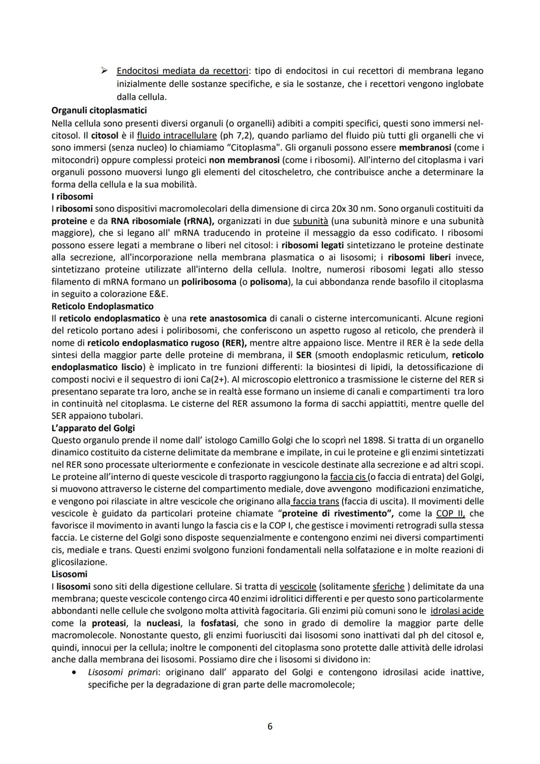 L'ISTOLOGIA E I SUOI METODI DI STUDIO
L'istologia studia i tessuti corporei e come questi si organizzano a formare gli organi. Questi tessut