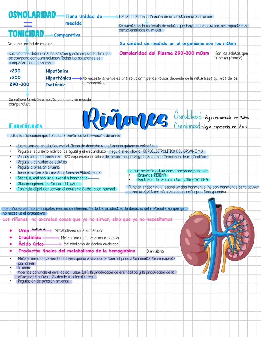 # Liquidos corporales
# Fisiologia Renal
Componentes La función más importante de los riñones es controlar el liquido en el organismo, el