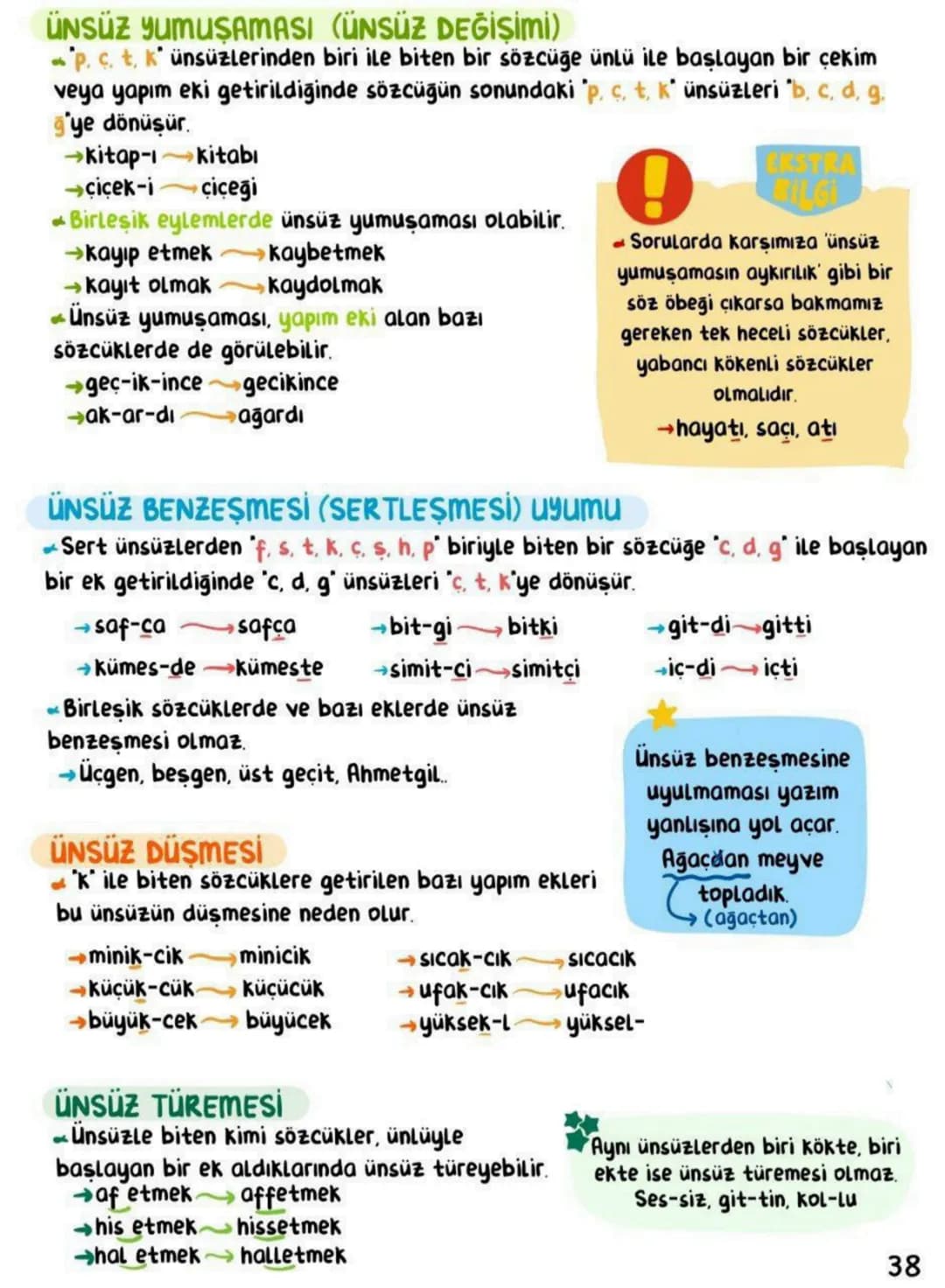 # SES BİLGİSİ
| | DÜZ | YUVARLAK | | |
| :---- | :----- | :------- | :---- | :------ |
| | Geniş | Dar | Gen