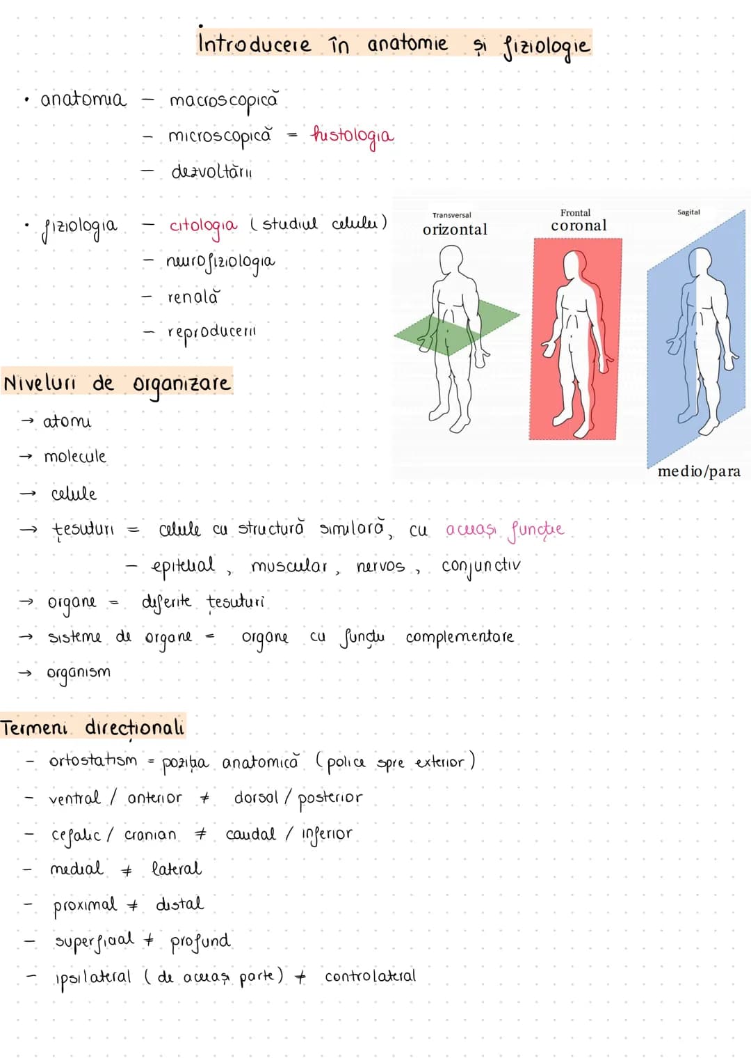# Introducere în anatomie şi fiziologie
- anatomia - macroscopică
- microscopică = histologia
- dezvoltării
- fiziologia - citologia (