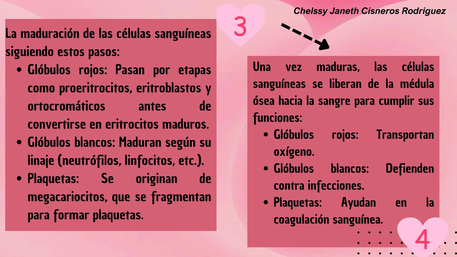 # HEMATOPOYESIS
EQUIPO #3 # Chelssy Janeth Cisneros Rodriguez
¿Qué es la
Hematopoyesis? Chelssy Janeth Cisneros Rodriguez
¿Qué es la Hema