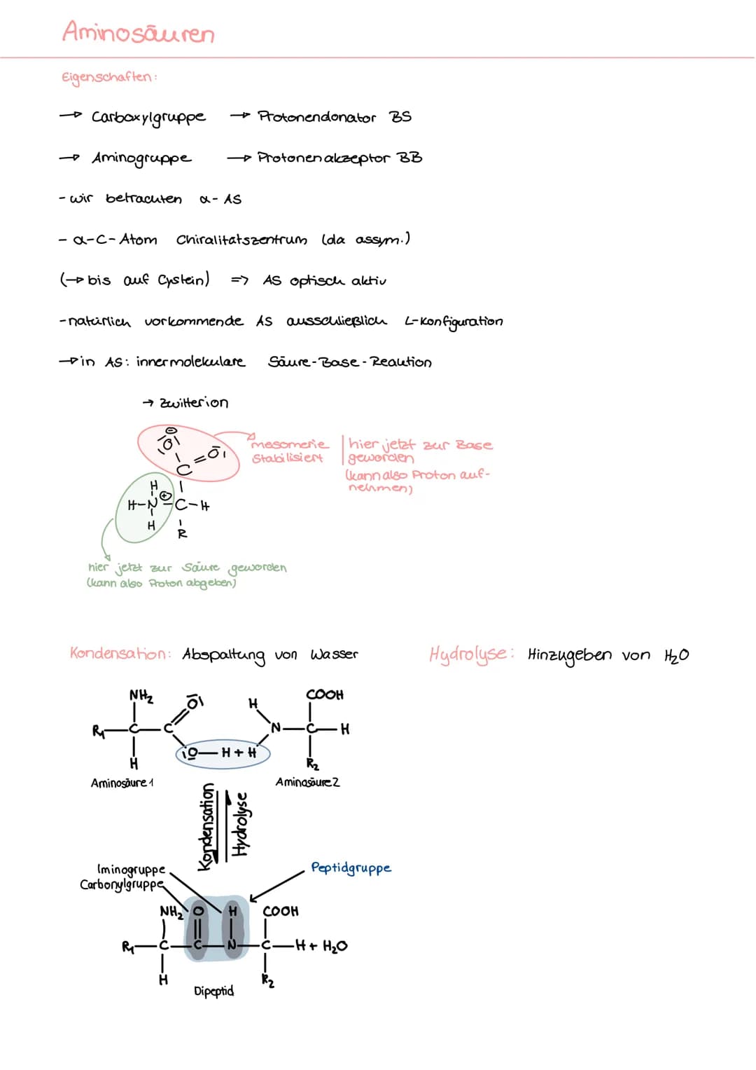 # Q2.1 Kohlenhydrate & Peptide
Überblick über die Substanzklasse der Kohlenhydrate:
- Kohlenhydrate sind Poly hydroxy verbindungen (mehrere