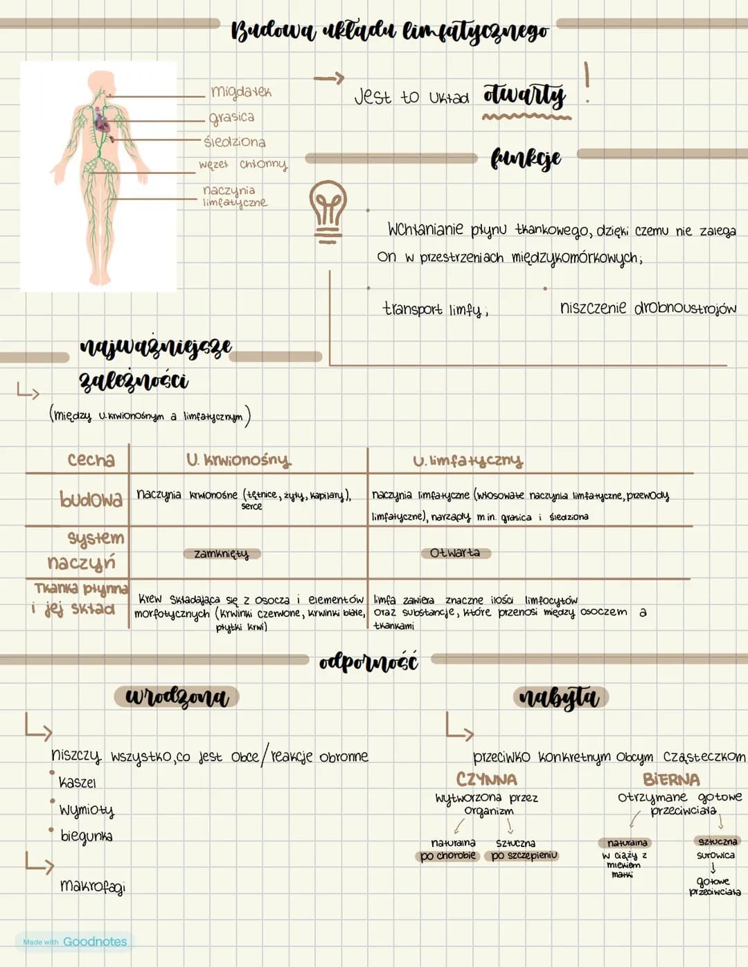 Made with Goodnotes Dzialv
Sklad i funkcje krwi
Osocze Ok.55%
leukocyty i płytki
Krwi Ok. 1%
Erytrocyty Ok 44%
Grupy krwi
A
0
B
0
AB A