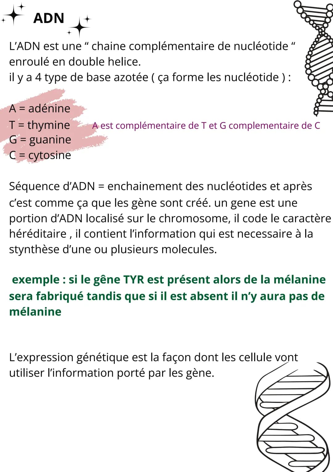 # SVT
Science & de la terre
spécialisation cellulaire, ADN, métabolisme
# L'echelle du vivant
Pour vivre, il faut que les etre vivant acco