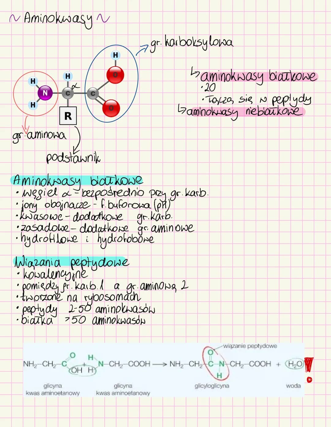 # Chemizm życia
~Skiad chemiczny organizmów~
Mikroelementy < Opil. suchej masy
• Żelazo-białka i ens enbymy, hemoglobina
• Jod- hormony