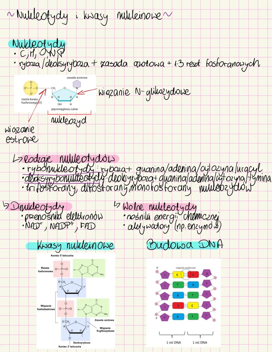 # Chemizm życia
~Skiad chemiczny organizmów~
Mikroelementy < Opil. suchej masy
• Żelazo-białka i ens enbymy, hemoglobina
• Jod- hormony