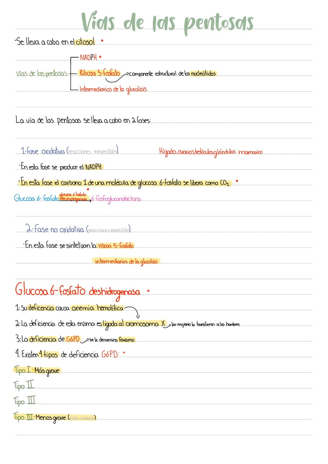 # Vias de las pentosas
-Se lleva a cabo en el citosol.
-NADPH.
Vías de las pentosas
- Ribosa 5-fosfatocomponente estructural de los nucl