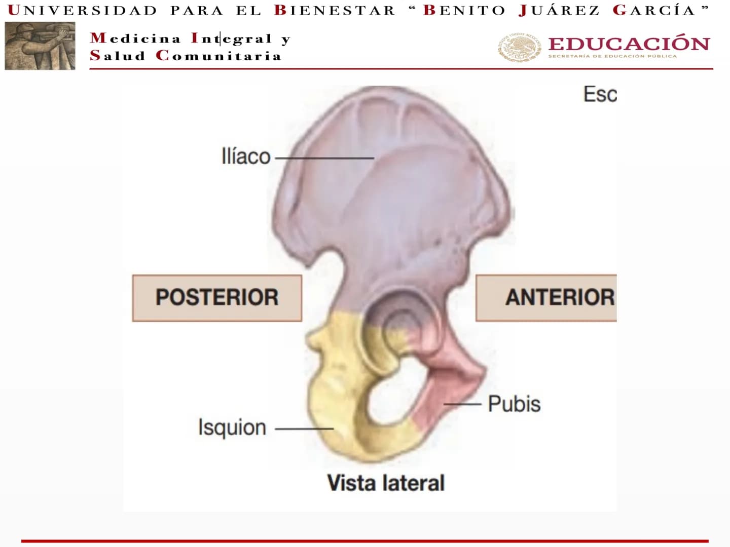 UNIVERSIDAD PARA EL BIENESTAR “BENITO JUÁREZ GARCÍA”
Medicina Integral y
Salud Comunitaria
EDUCACIÓN
SECRETARÍA DE EDUCACIÓN PÚBLICA
Cint