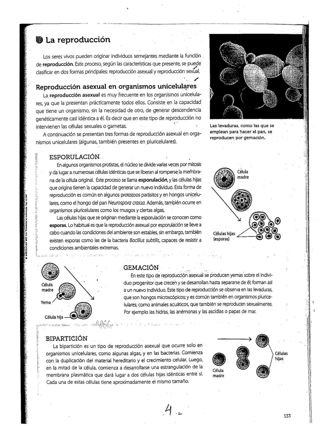 # La reproducción
Los seres vivos pueden originar individuos semejantes. mediante la función
de reproducción. Este proceso, según las carac