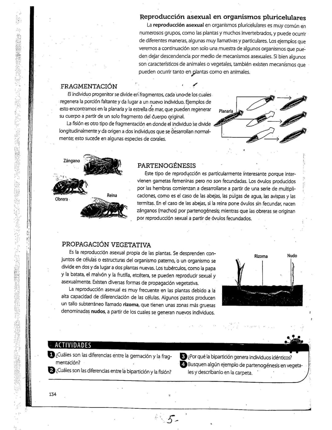 # La reproducción
Los seres vivos pueden originar individuos semejantes. mediante la función
de reproducción. Este proceso, según las carac
