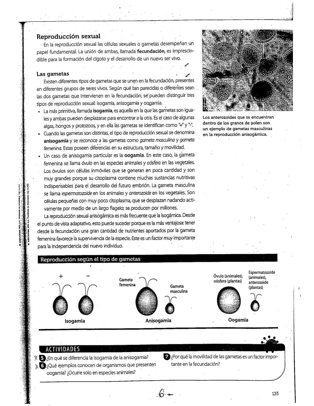 # La reproducción
Los seres vivos pueden originar individuos semejantes. mediante la función
de reproducción. Este proceso, según las carac