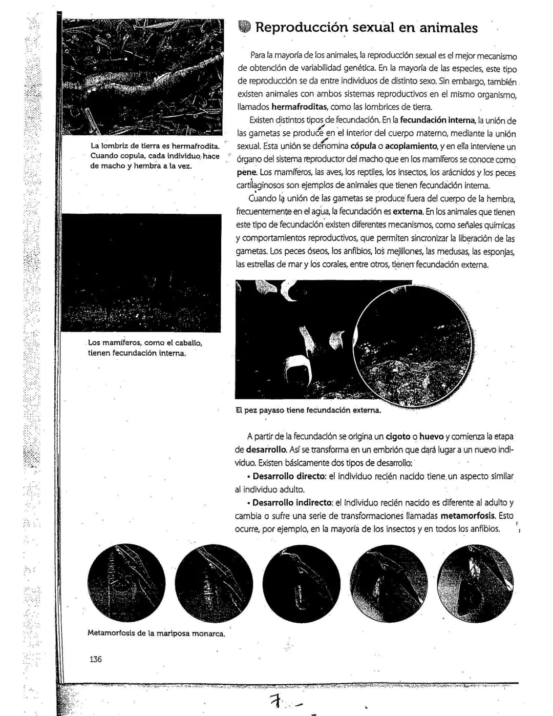 # La reproducción
Los seres vivos pueden originar individuos semejantes. mediante la función
de reproducción. Este proceso, según las carac