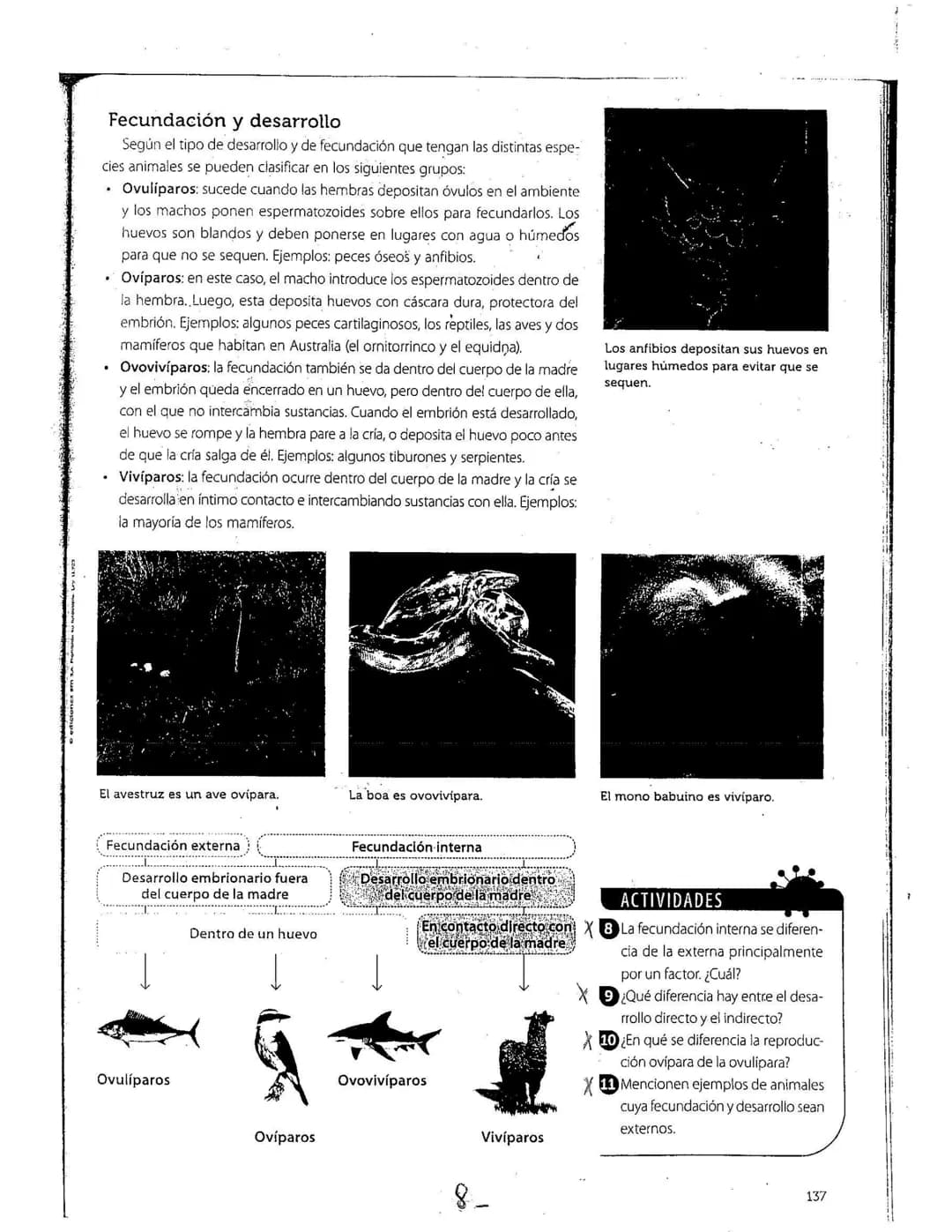 # La reproducción
Los seres vivos pueden originar individuos semejantes. mediante la función
de reproducción. Este proceso, según las carac