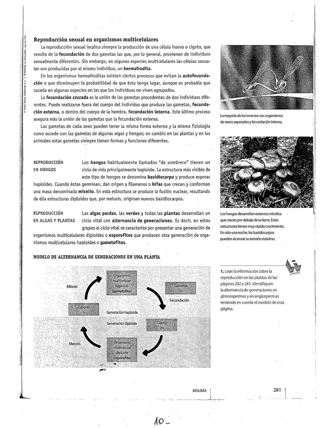 # La reproducción
Los seres vivos pueden originar individuos semejantes. mediante la función
de reproducción. Este proceso, según las carac