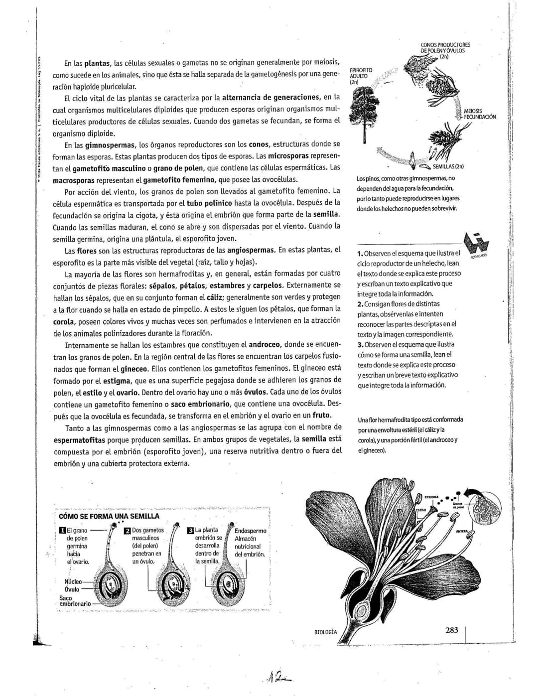 # La reproducción
Los seres vivos pueden originar individuos semejantes. mediante la función
de reproducción. Este proceso, según las carac