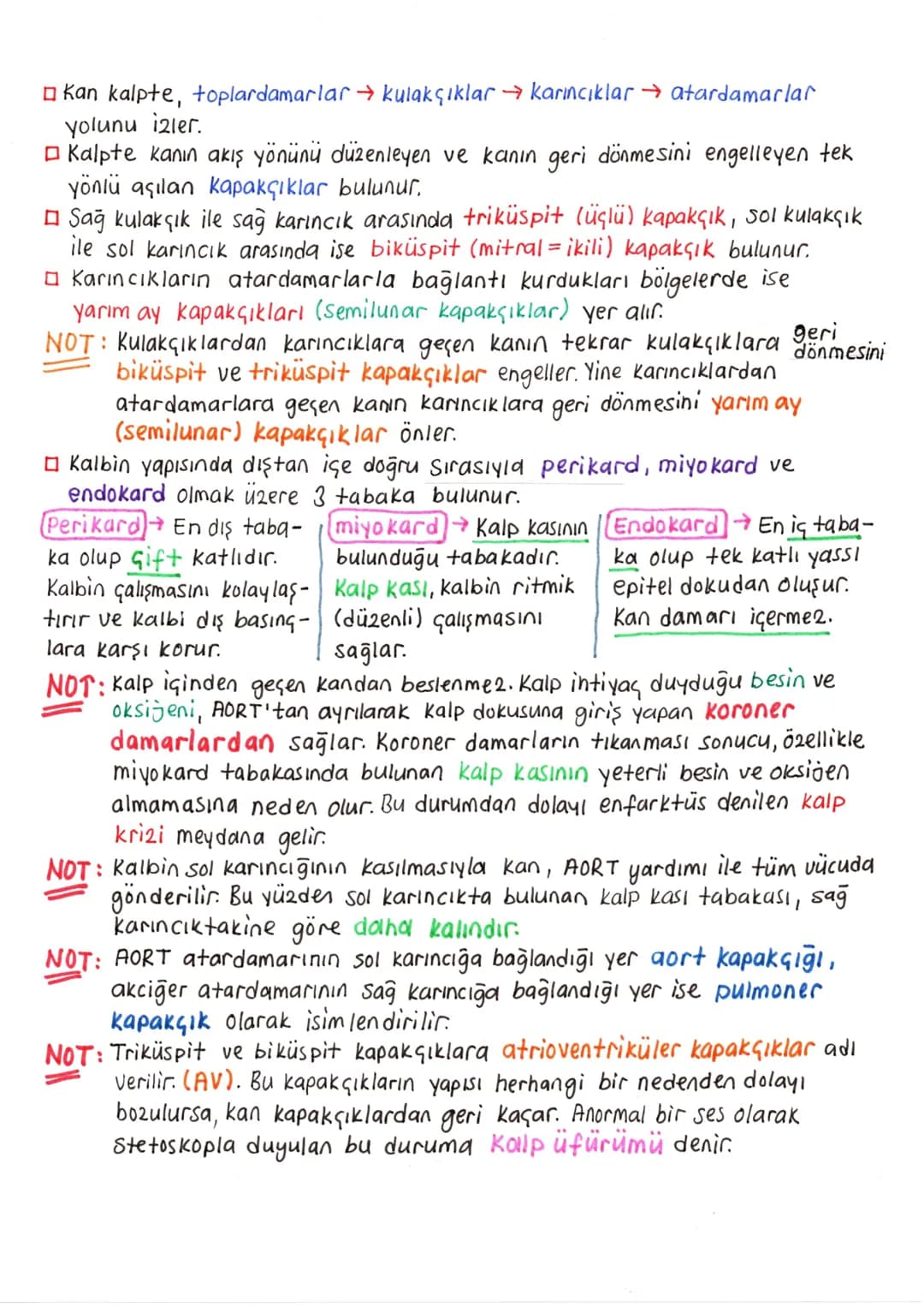 # DOLAŞIM SİSTEMİ
Dolaşım sistemi sayesinde, doku ve organlara gerekli oksijen ve besin
taşınırken, ayrıca bu yapılardan atık maddeler de u