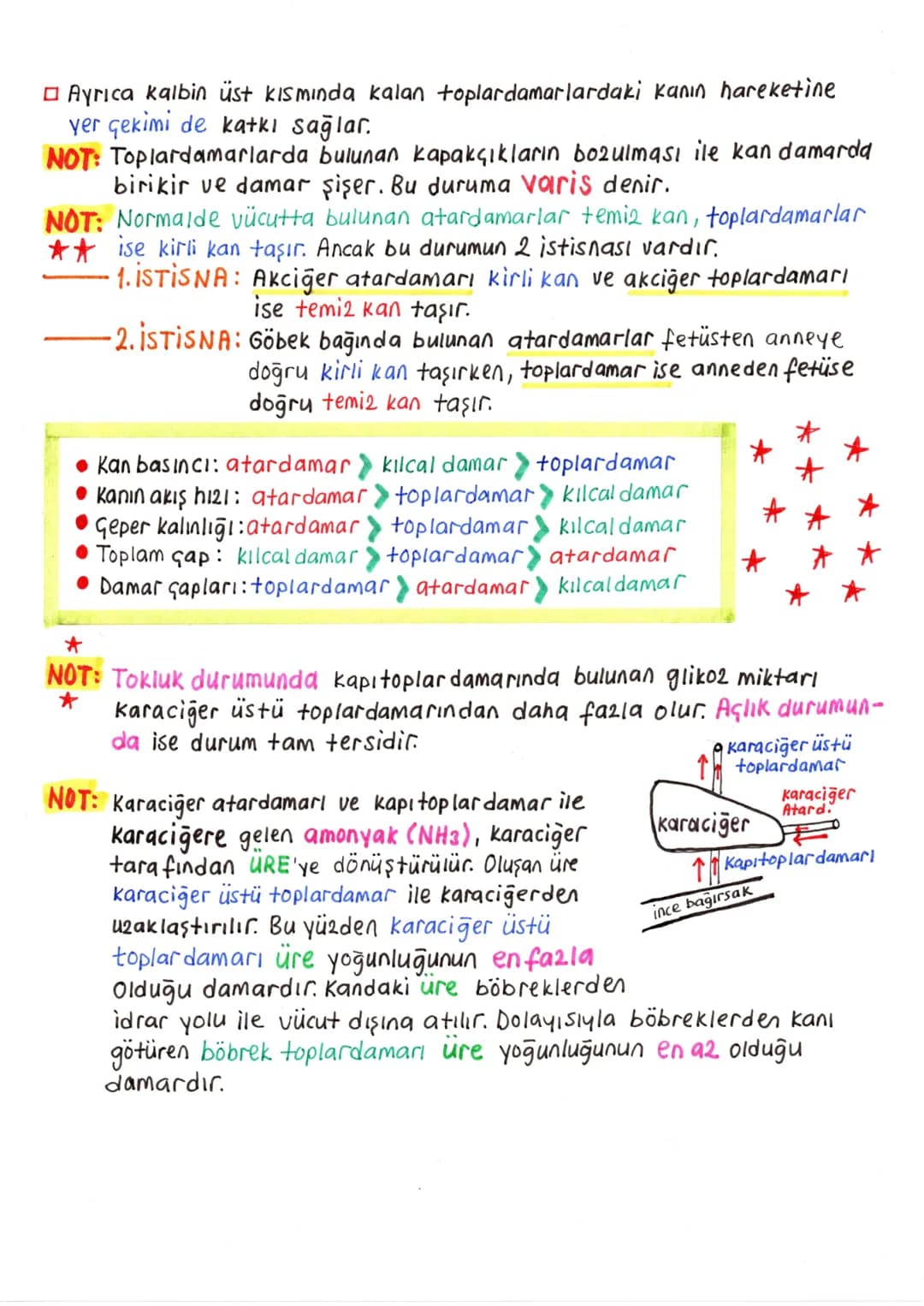 # DOLAŞIM SİSTEMİ
Dolaşım sistemi sayesinde, doku ve organlara gerekli oksijen ve besin
taşınırken, ayrıca bu yapılardan atık maddeler de u