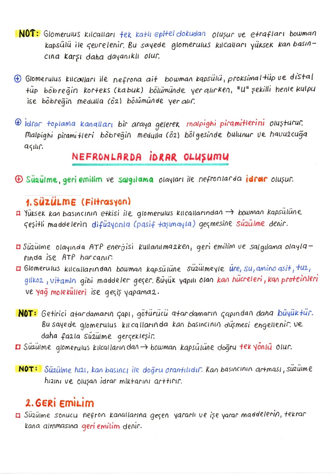 # ÜRİNER (BOŞALTIM) SİSTEMİ
⊕ Homeostasi denilen kararlı iç dengenin korunması için vücutta bulunan fazla
ve zararlı maddelerin vücut dışın