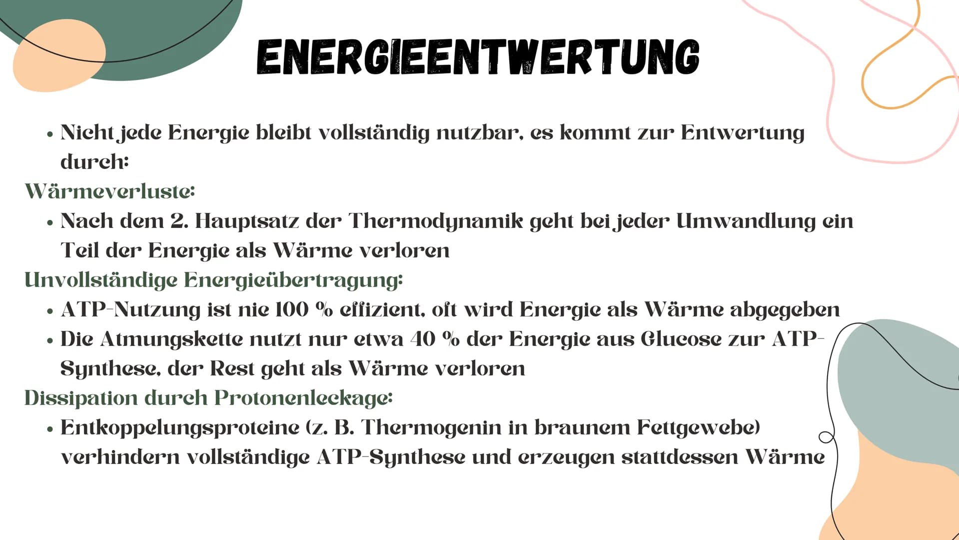 # STOFFWECHSEL # INHALTSVERZEICHNIS
ΟΙ Chemische Grundlagen
02 Aufbauender Stoffwechsel (Assimilation)
03 Abbauender Stoffwechsel (Dissim
