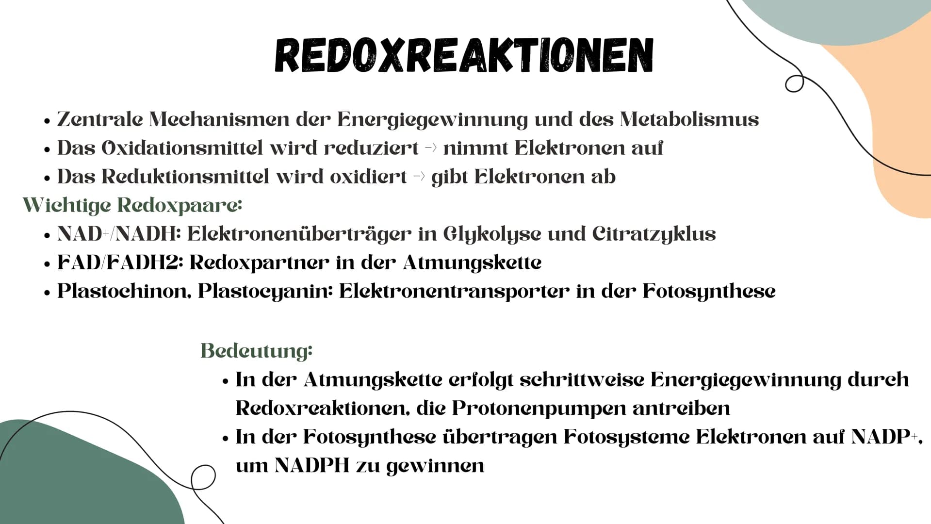 # STOFFWECHSEL # INHALTSVERZEICHNIS
ΟΙ Chemische Grundlagen
02 Aufbauender Stoffwechsel (Assimilation)
03 Abbauender Stoffwechsel (Dissim