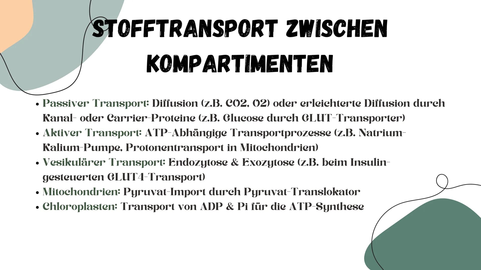 # STOFFWECHSEL # INHALTSVERZEICHNIS
ΟΙ Chemische Grundlagen
02 Aufbauender Stoffwechsel (Assimilation)
03 Abbauender Stoffwechsel (Dissim