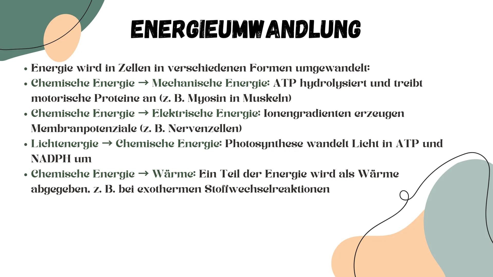 # STOFFWECHSEL # INHALTSVERZEICHNIS
ΟΙ Chemische Grundlagen
02 Aufbauender Stoffwechsel (Assimilation)
03 Abbauender Stoffwechsel (Dissim
