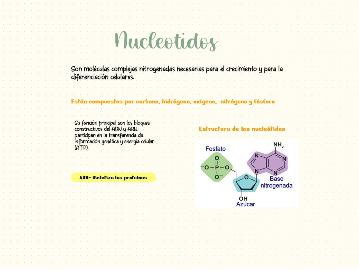 proteínas
La función principal de las proteínas es brindar soporte y estructura a las
células
Fórmula general de un aminoácido
Aminoácidos-M