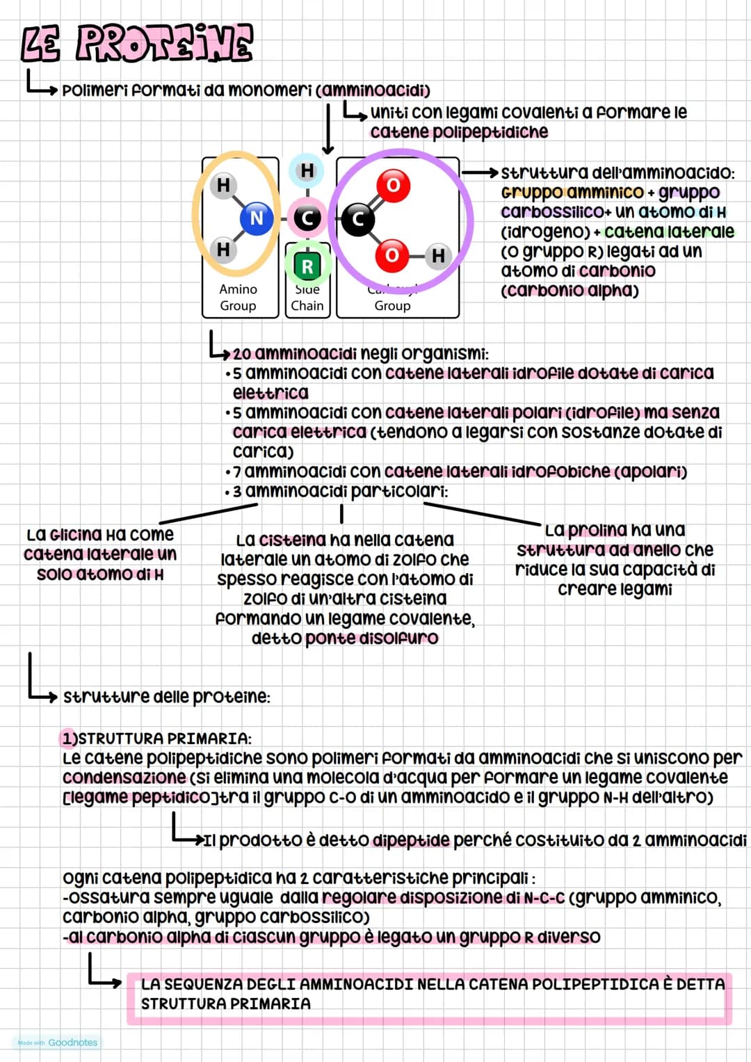 # Le Giomolecole
4 tipi:
* carboidrati
* lipidi
* proteine
* acidi nucleici
composti organici.
(composti formati
da carbonio)
Que