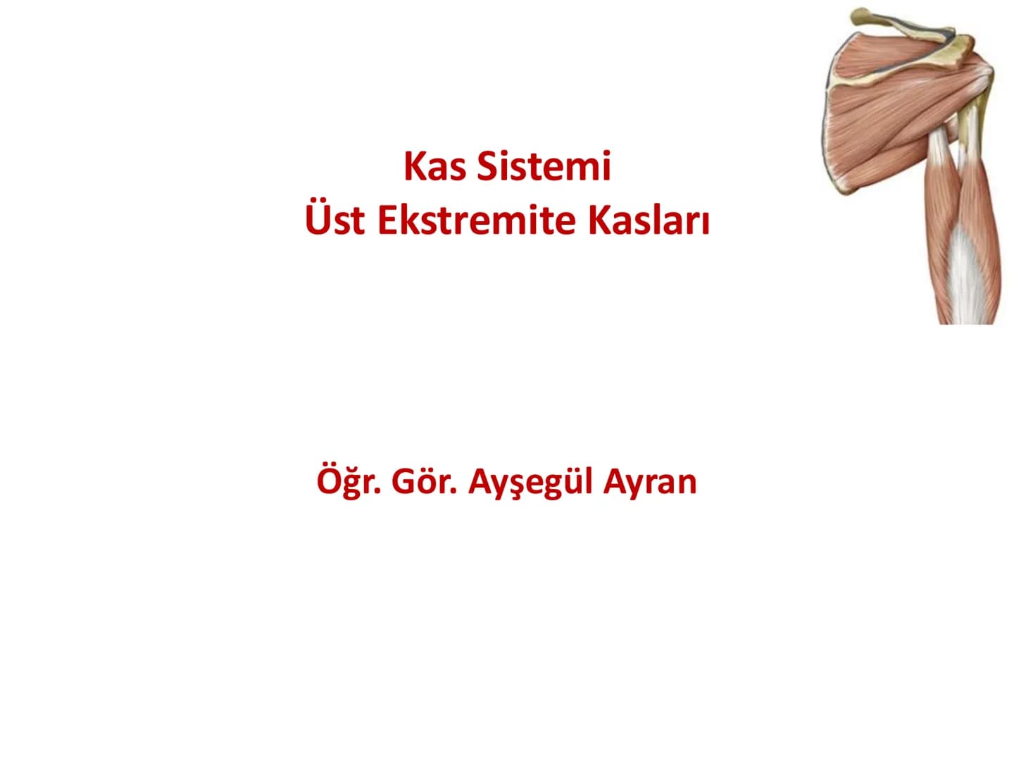 # Kas Sistemi
## Üst Ekstremite Kasları
Öğr. Gör. Ayşegül Ayran İÇERİK
Üst ekstremite kaslarının:
İsimleri
Konumları
Kemiklere tutunma y