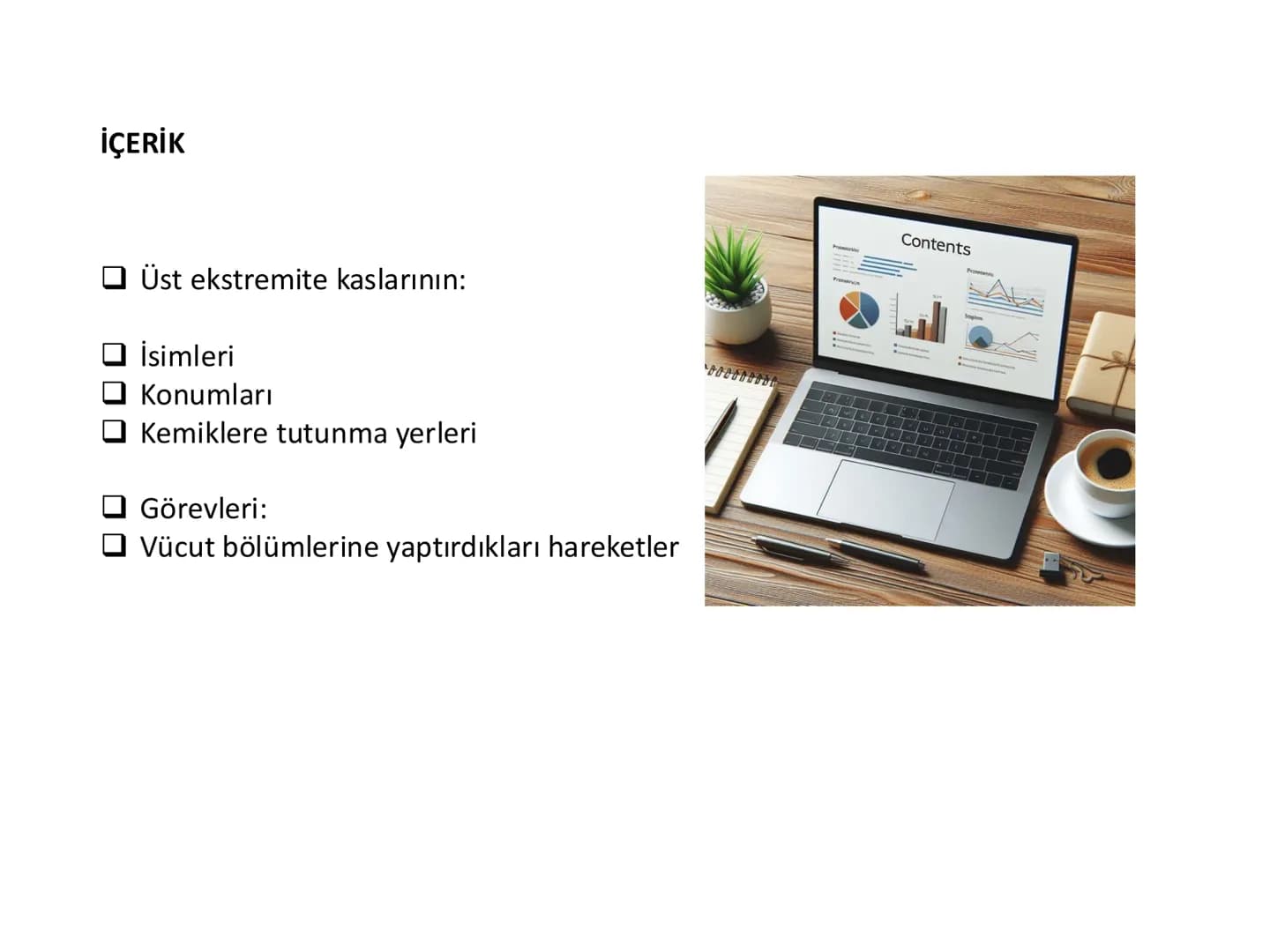 # Kas Sistemi
## Üst Ekstremite Kasları
Öğr. Gör. Ayşegül Ayran İÇERİK
Üst ekstremite kaslarının:
İsimleri
Konumları
Kemiklere tutunma y