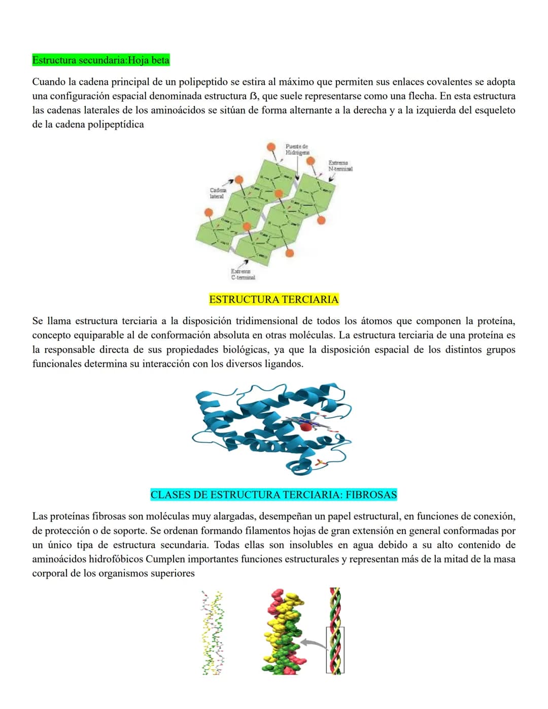 # PEPTIDOS
Un péptido es una molécula que resulta de la unión de dos o más aminoácidos mediante enlaces peptídico.
Cuando el péptido está