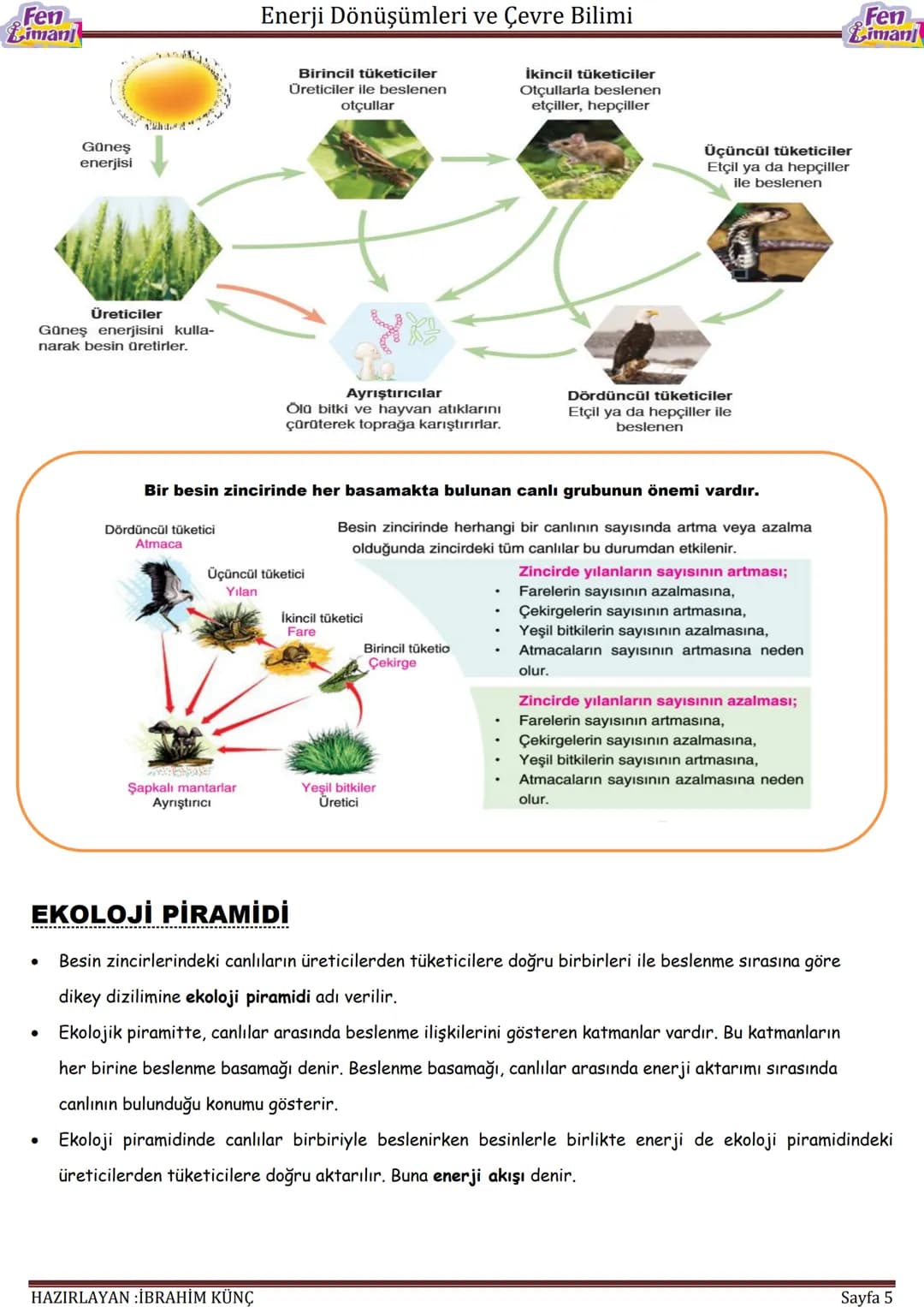Fen
imanj
Enerji Dönüşümleri ve Çevre Bilimi
# ENERJİ
# DÖNÜŞÜMLERİ
# VE
# ÇEVRE BİLİMİ
Fen
Liman
Konu ve Kavramlar:
- Besin zinciri, besi