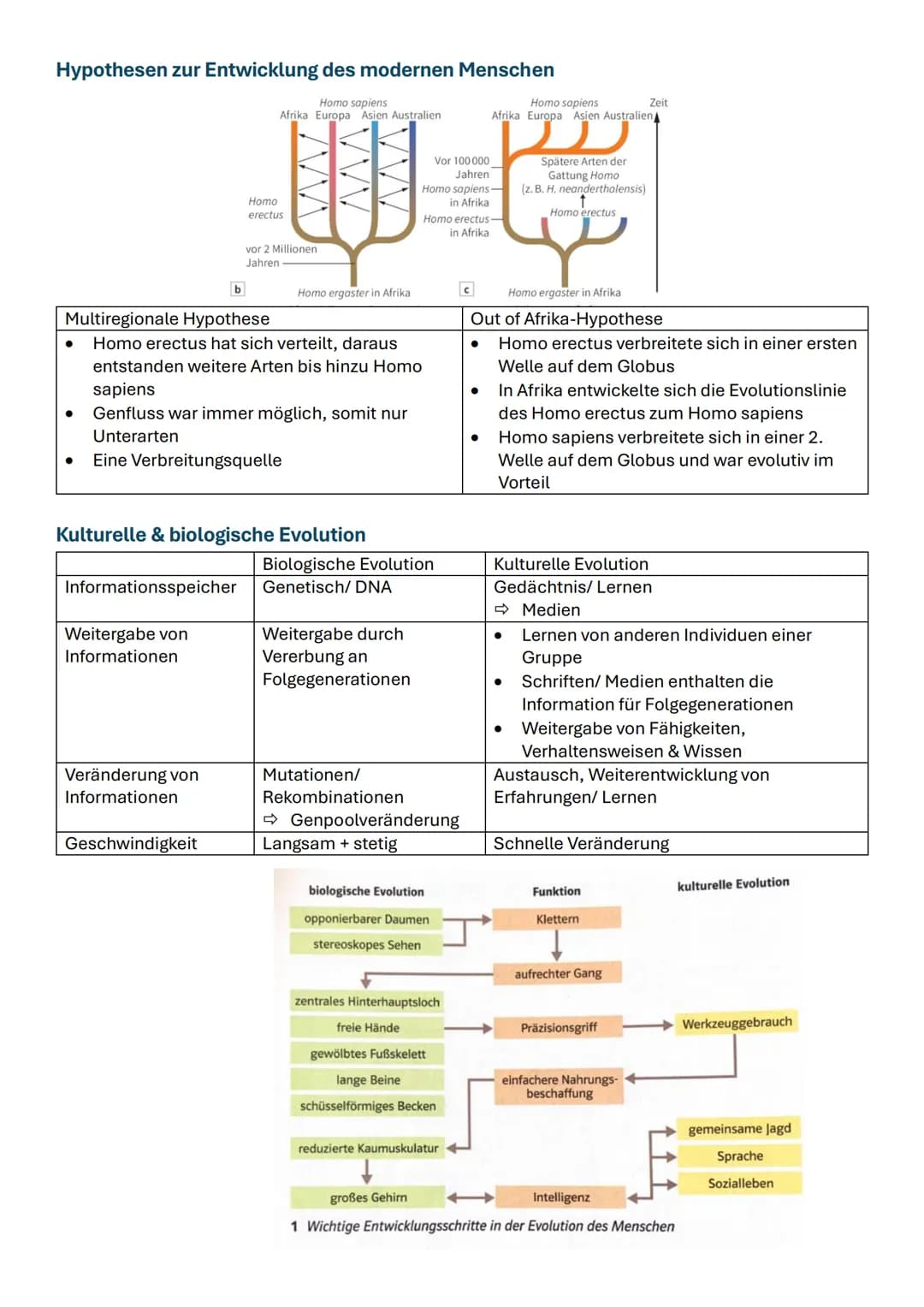 # Exogene und endogene Verhaltensursachen
außere Reize
exogene
Verhaltensursachen
Habituation Zeitgeber
belohnende
Reize
motivierende
A