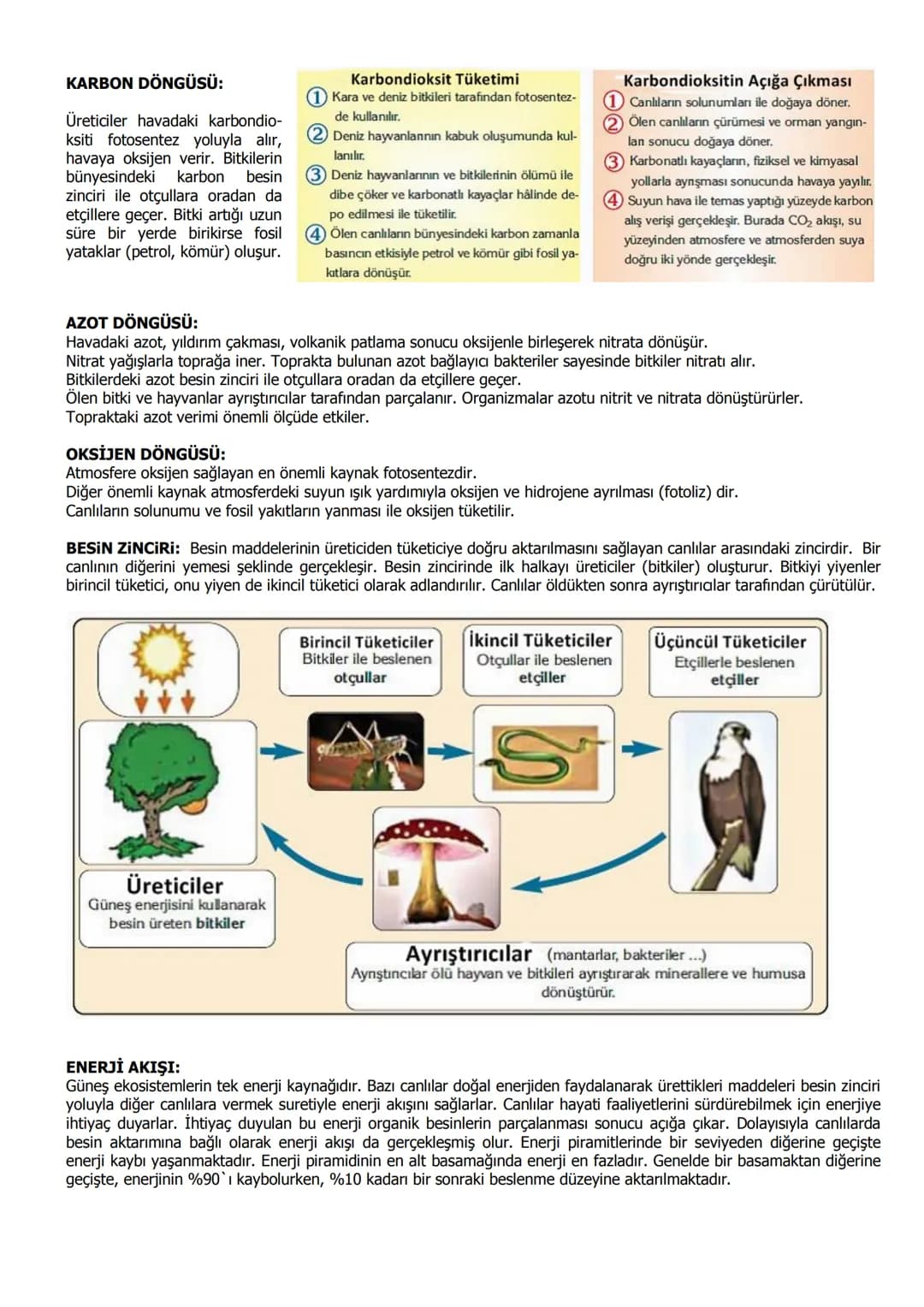 ADI SOYADI:
SINIF NO:
11. SINIF DERS NOTLARI (I. ÜNİTE: EKOSİSTEM MADDE DÖNGÜSÜ)
BİYOM: Kendine mahsus bitki örtüsü, iklimi ve hayvan top