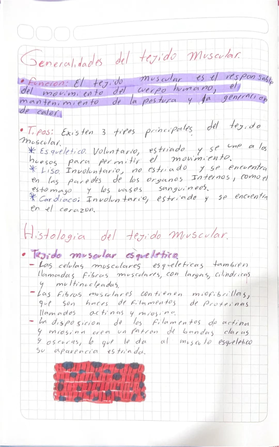 Generalidades del tegido Muscular.
* Funcion: El tejido muscular es el responsable
del movimiento del werpo humano, el
mantenimiento de l