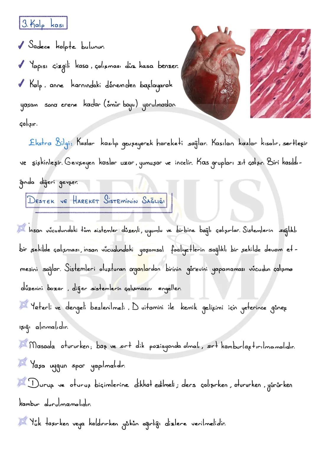 FENUS
BILIM
5. SINIF 3.ÜNİTE
DESTEK VE HAREKET
SİSTEMİ DERS NOTU
fenusbilim
✔ fenusbilim.com
▷ fenusbilim/youtube
Teliflidir, öğrenciler