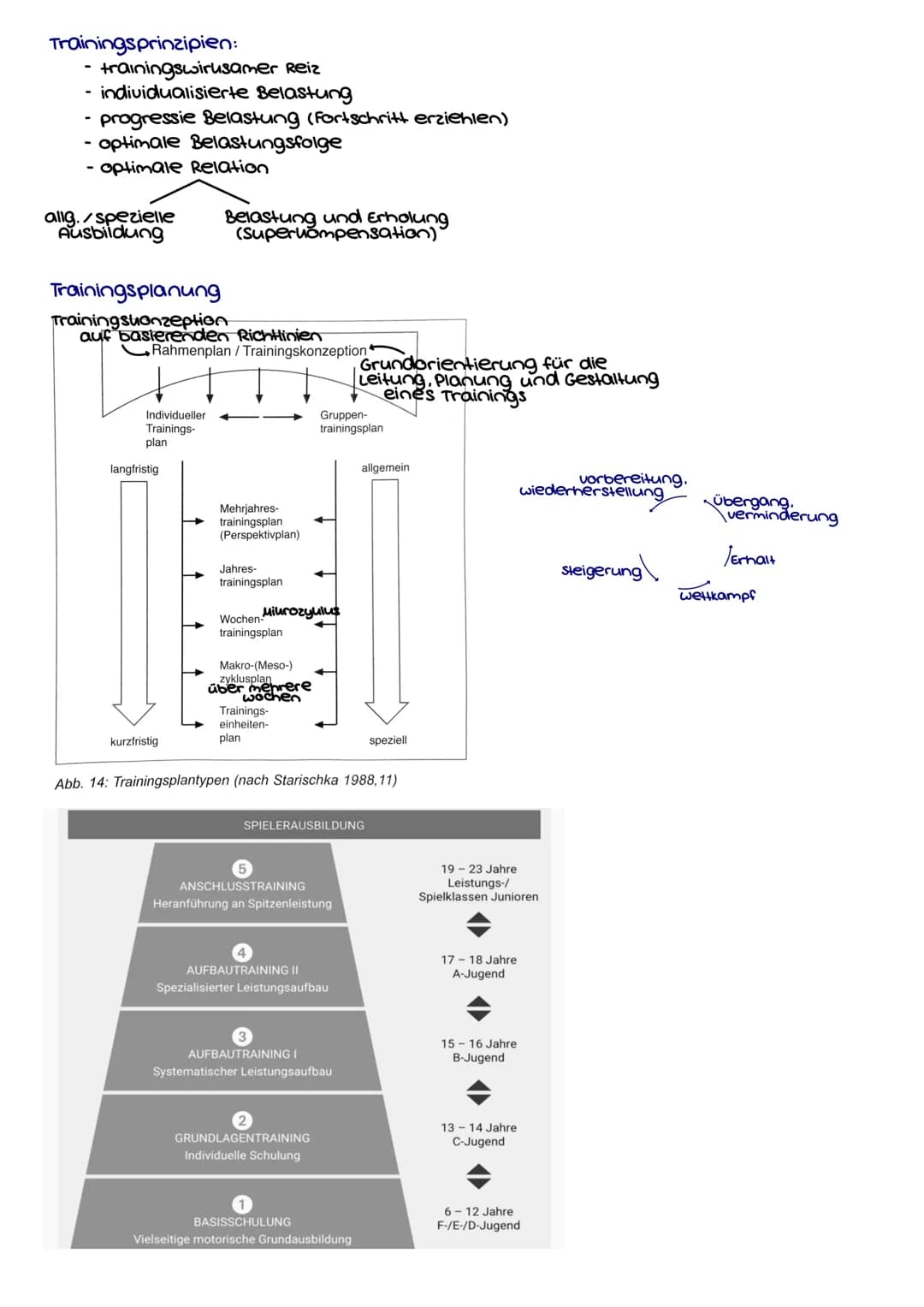 konditionelle Fähigkeiten
motorisches System
(Bewegungsapperat)
kraft
motorisches System
(Bewegungsapperat)
Beweglichueit
Schnelluraft
aero