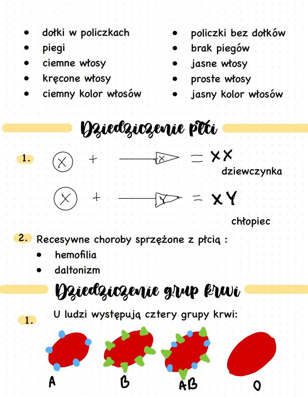 # Dziedziczenie
cech plci i grup
krwi
Dziedziczenie cech i czlowieka
1. Choroby genetyczne mogą być warunkowane przez 1
gen.
2. Cechy