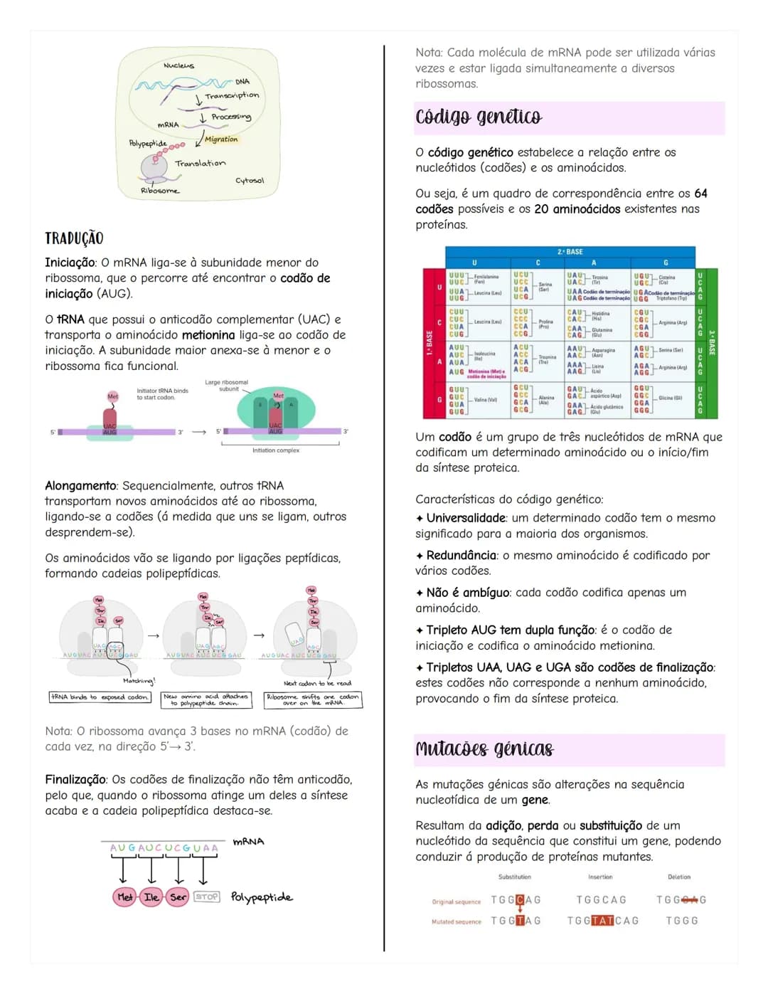 # Renovação celular
Replicacão do DNA
As células têm capacidade de replicar a informação
contida no se DNA, formando outra molécula idênti