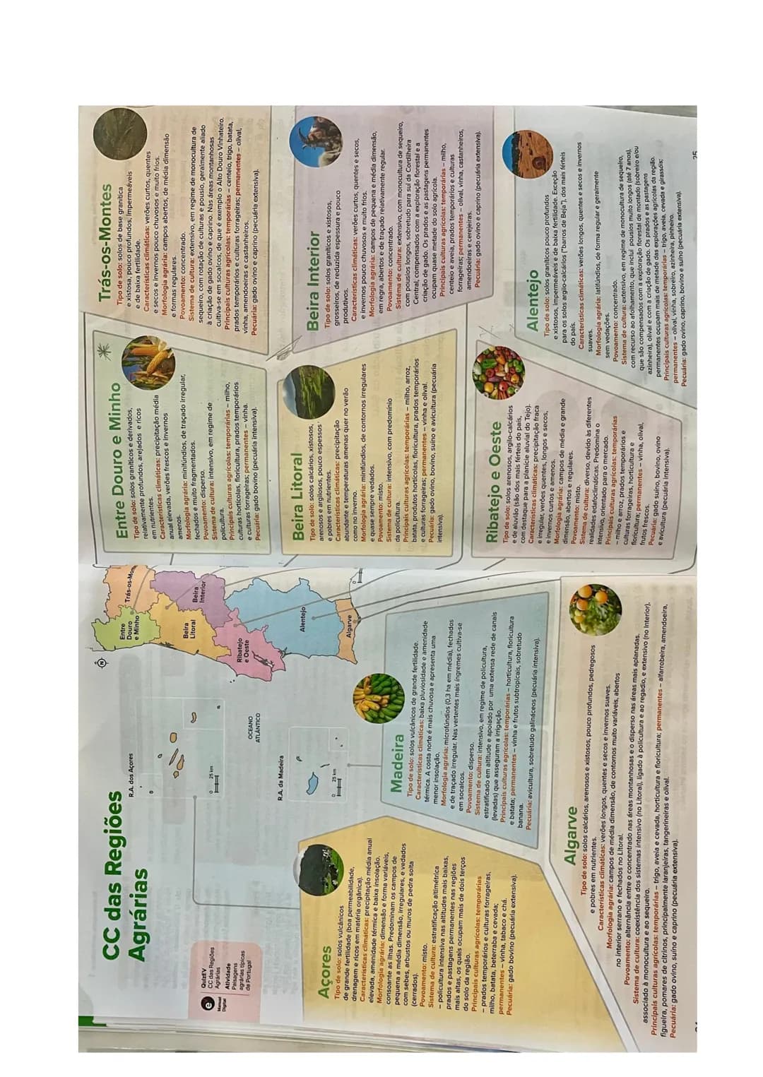 # 11° Ano - GEO
# AGRICULTURA
Espaço rural - Compreende os espaços agrário e agrícola e caracteriza-se pelo
predomínio de atividades ligad