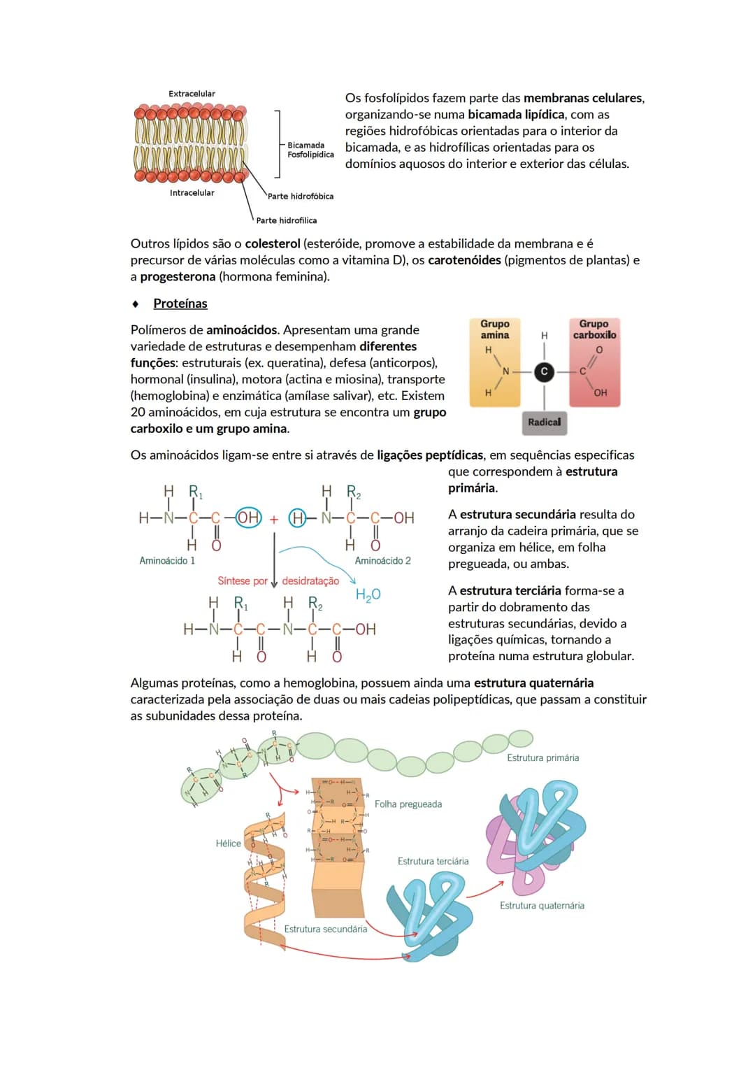 # A biosfera
Biosfera - conjunto de todos os locais da Terra onde é possível encontrar vida, os organismos que ai habitam e as inter-relaçõ