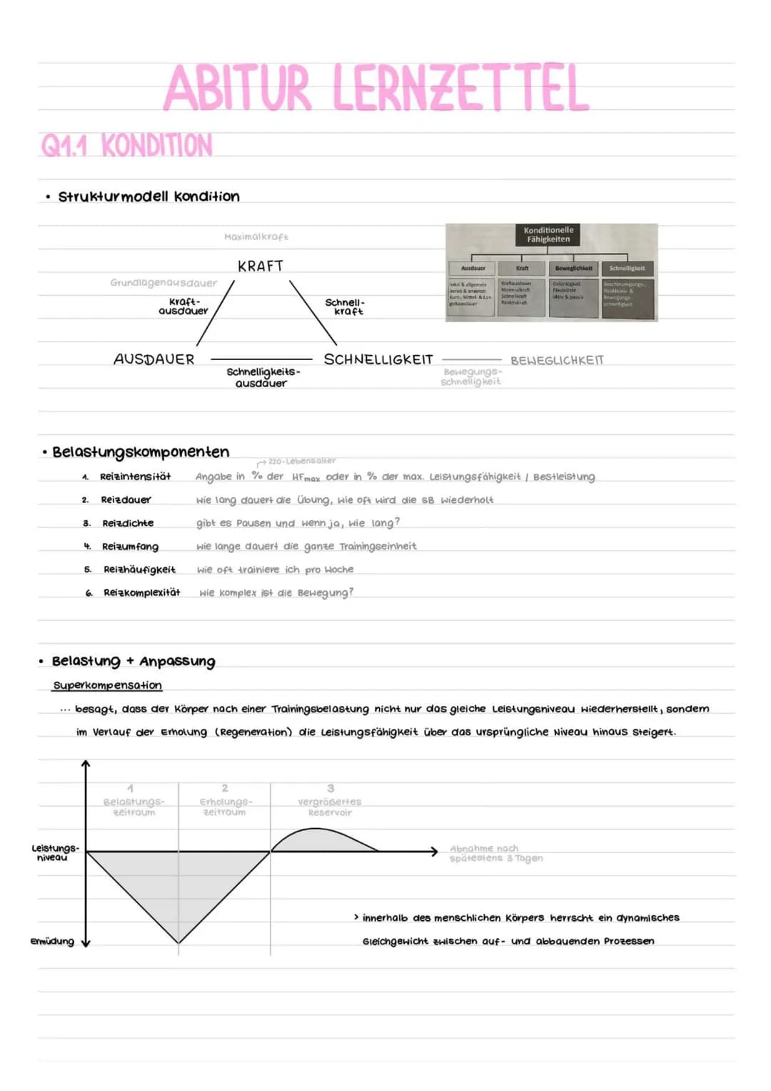 # ABITUR LERNZETTEL
Q1.1 KONDITION
* Strukturmodell kondition
Grundlagenausdauer
Kraft-
ausdauer
Maximalkrafu
KRAFT
Sch