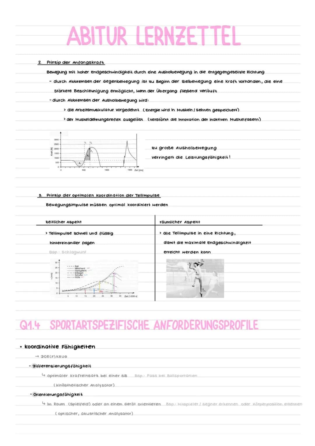 # ABITUR LERNZETTEL
Q1.1 KONDITION
* Strukturmodell kondition
Grundlagenausdauer
Kraft-
ausdauer
Maximalkrafu
KRAFT
Sch