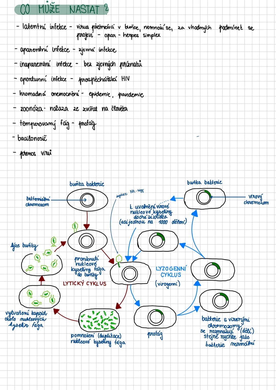 # Nebuněčné organismy + imunita
* viry
* taxonomie: nadříše: prokaryota
* říše: nebuněční (subcellulata)
* oddělení: viry