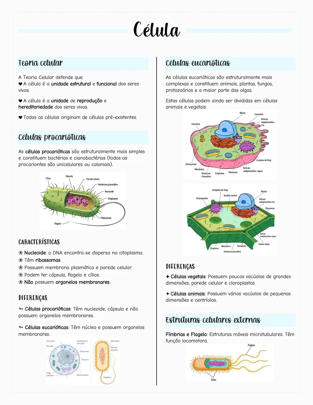 # Ecologia
Biosfera
A biosfera é um sistema que inclui todos os seres vivos, os
ambientes que habitam e as relações estabelecidas entre
ele