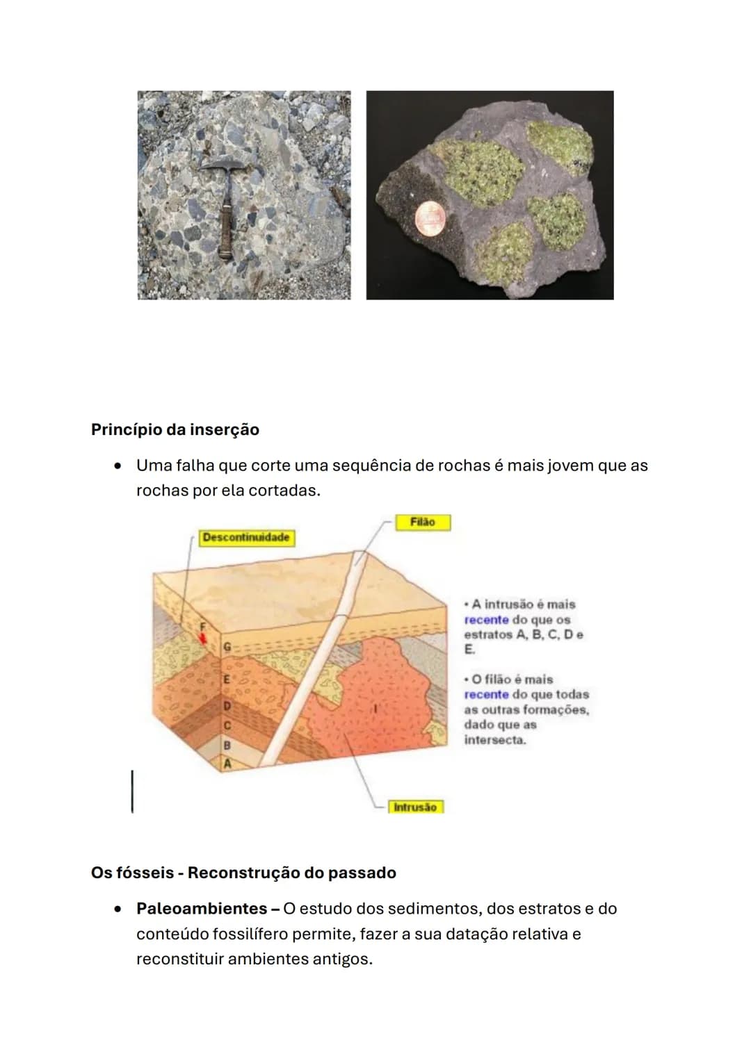 Biologia e Geologia
Geologia (10°ano)
Princípios do raciocínio geológico
Interpretação da Evolução passada na Terra
Catastrofismo
Cuvier