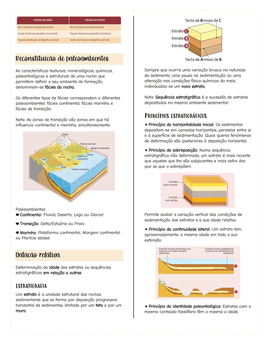 # Terra e Subsistemas
Sistemas
Um sistema é um conjunto de elementos que se
relacionam e que podem ser analisados como um todo.
SISTEMAS