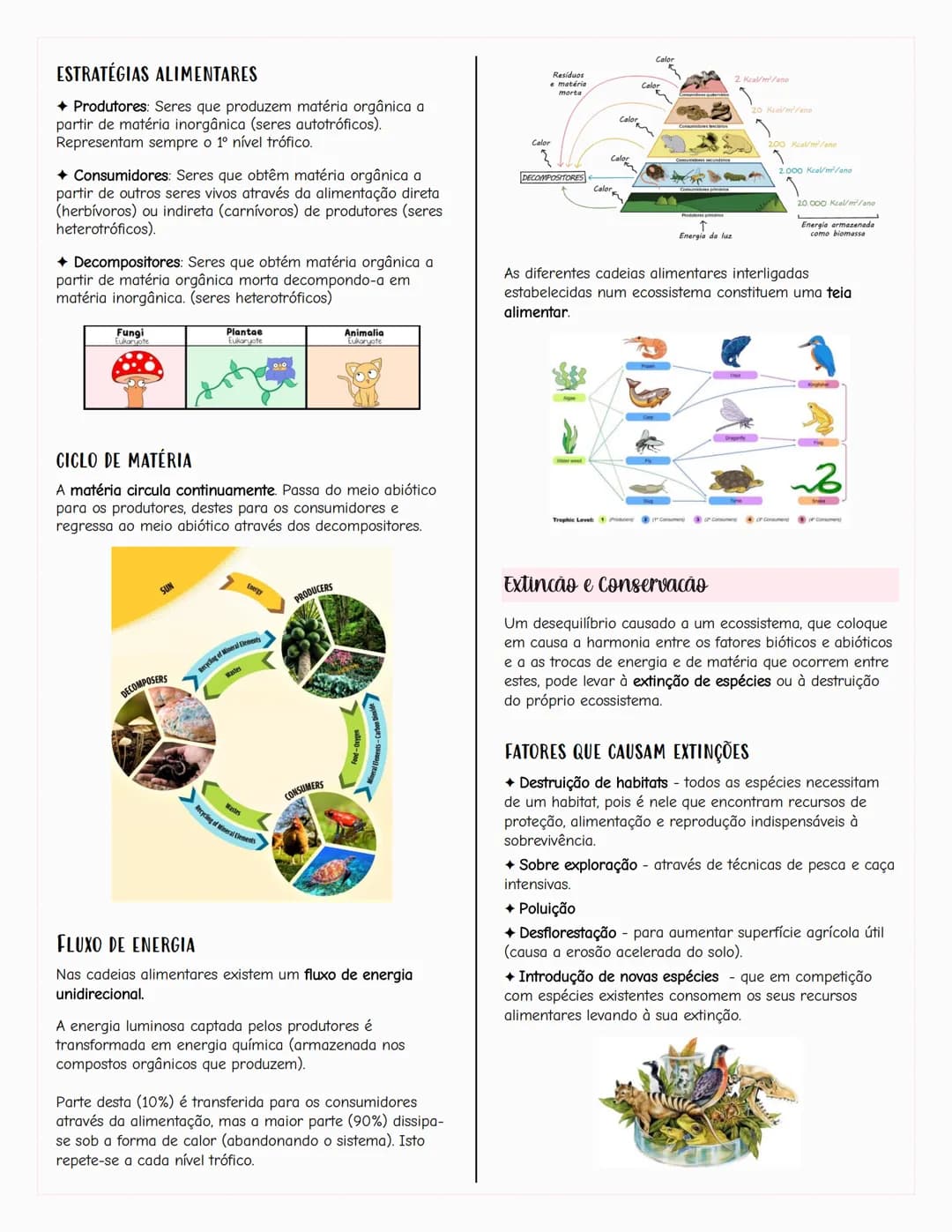 ## Ecologia
### Biosfera
A biosfera é um sistema que inclui todos os seres vivos, os
ambientes que habitam e as relações estabelecidas entr