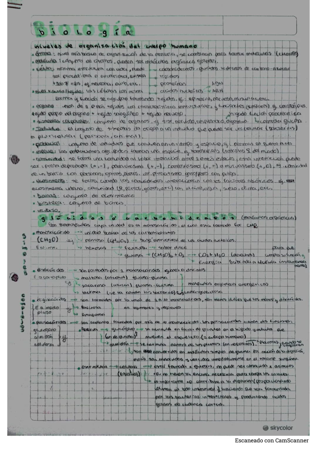 # Biologia
b
niveles de organización del cuerpo humano
* aroma nivel más brosio de agarnitución de la mereria, se combinan para factus en